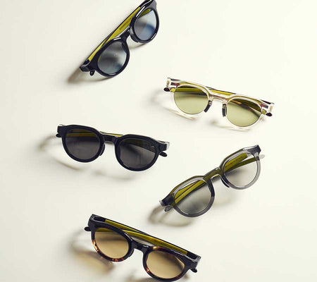 Eyevol